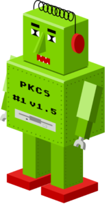 The ROBOT Attack
