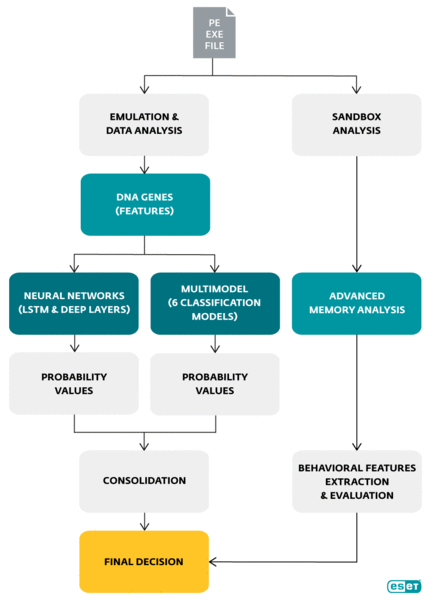 Augur scheme grande